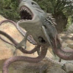 Bilder Sharktopus