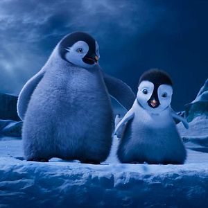 Bilder Happy Feet 2