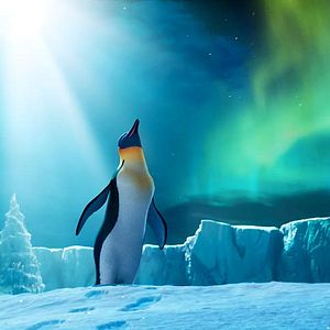 Bilder Happy Feet 2