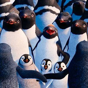 Bilder Happy Feet 2