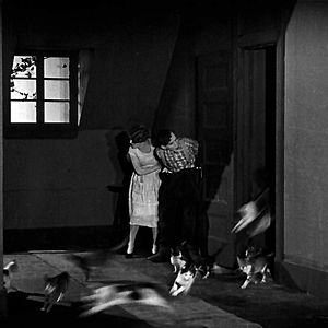 Bilder Les Folles inventions de M. Bricolo