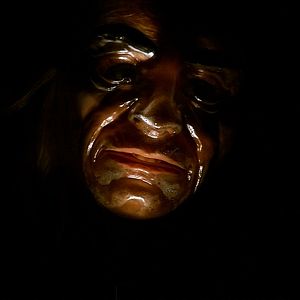 Bilder Don't Go in the Woods