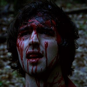 Bilder Don't Go in the Woods