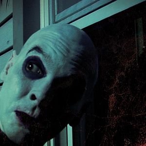 Bilder The 6th Extinction