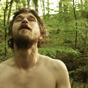 Bilder Peter Schneider (VII)