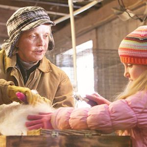 Bilder Der Weihnachtshase