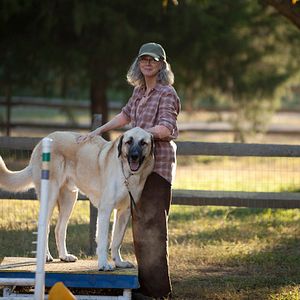 Bilder The Lucky One - Für immer der Deine