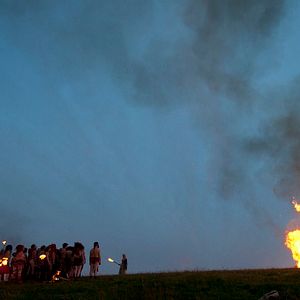 Bilder The Wicker Tree