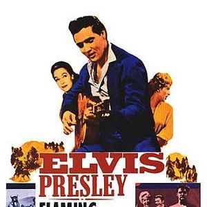 Bilder Flammender Stern