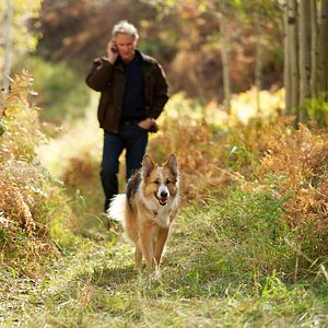 Bilder Darling Companion - Ein Hund fürs Leben