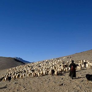 Bilder La Nuit Nomade