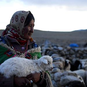 Bilder La Nuit Nomade