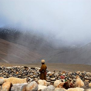 Bilder La Nuit Nomade