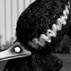 Bilder Frankenweenie