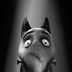 Bilder Frankenweenie