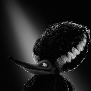 Bilder Frankenweenie