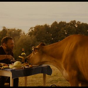 Bilder Sommer auf dem Land