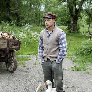 Bilder Nils Holgerssons wunderbare Reise