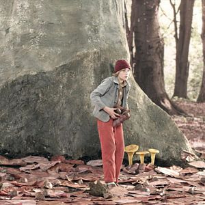 Bilder Nils Holgerssons wunderbare Reise