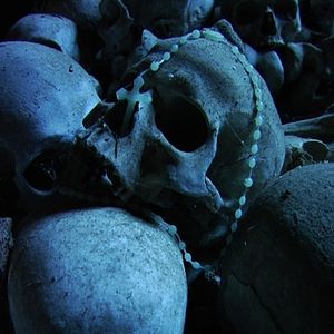 Bilder In purgatorio