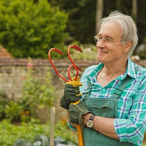 Bilder Bernard Le Coq