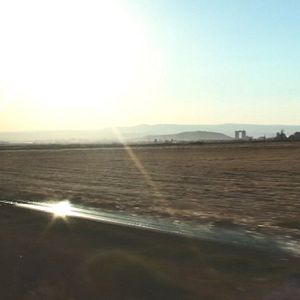 Bilder Le Fils du marchand d'olives