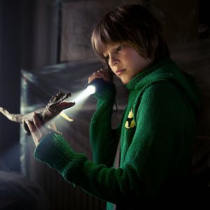 Bilder Das Haus der Krokodile