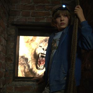 Bilder Das Haus der Krokodile