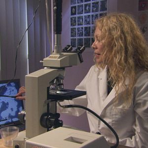 Bilder Water - Die geheime Macht des Wassers