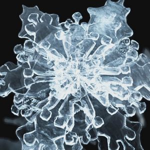 Bilder Water - Die geheime Macht des Wassers