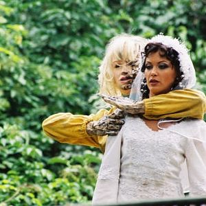 Bilder Man With the Screaming Brain