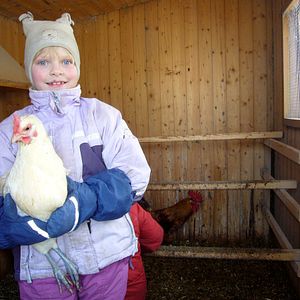 Bilder Die Kinder vom Napf