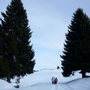 Bilder Die Kinder vom Napf