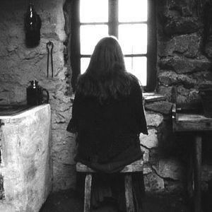 Bilder Das Turiner Pferd