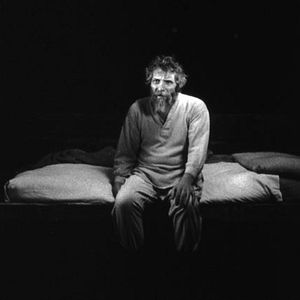 Bilder Das Turiner Pferd