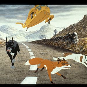 Bilder Die Hunde sind los