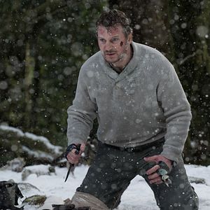 Bilder Liam Neeson