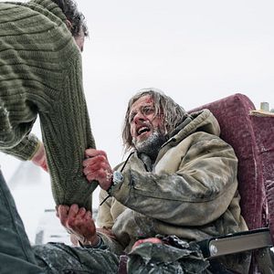 Bilder The Grey - Unter Wölfen