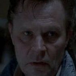 Bilder Peter Carlberg