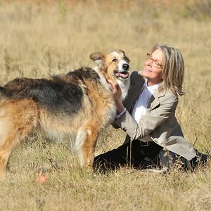 Bilder Darling Companion - Ein Hund fürs Leben