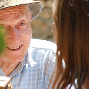 Bilder Cactus vinaigrette