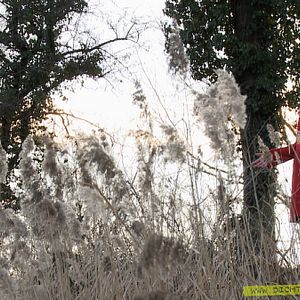 Bilder Dichter und Kämpfer