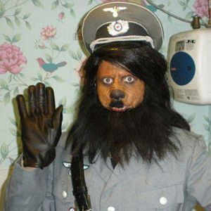 Bilder FDR: American Badass!