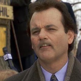 Bilder Und täglich grüßt das Murmeltier