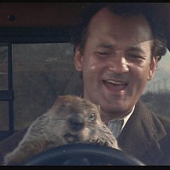 Bilder Und täglich grüßt das Murmeltier