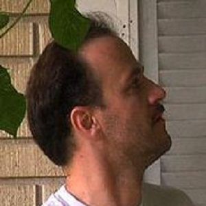 Bilder David Zellner