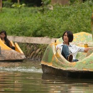 Bilder Die Nacht der Giraffe