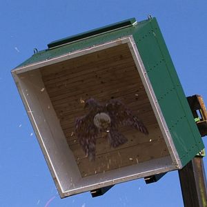 Bilder Glaube Sitte Heimat