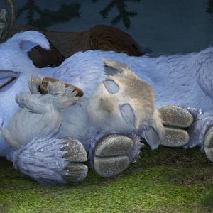 Bilder Niko 2 - Kleines Rentier, großer Held