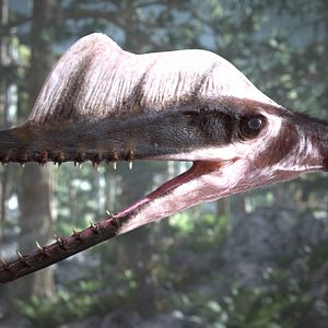 Bilder Flying Monsters 3D with David Attenborough